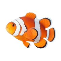 pesce pagliaccio isolato. illustrazione ai generativo png