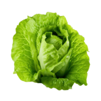 Green lettuce isolated. Illustration AI Generative png