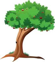 Illustration of apple tree. vector