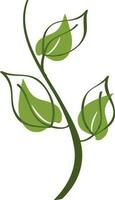Green leaves on white background. vector