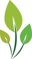 Green leaves on white background in flat style. vector