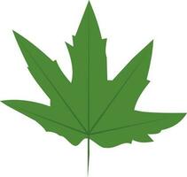 Flat style green maple leaf on white background. vector
