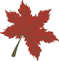 Flat illustration of a maple leaf. vector