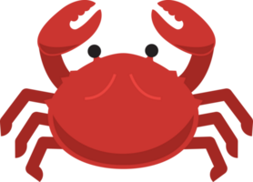 Granchio frutti di mare mare animale png