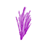 acquerello lavanda mazzo png