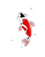 poisson koi japonais png