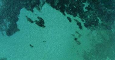 aereo superiore giù Visualizza di blu azzurro turchese mare acqua superficie. baleari mare, Spagna. video