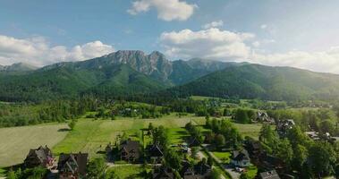 lindo montanha panorama dentro verão, floresta e pedras. zakopane video