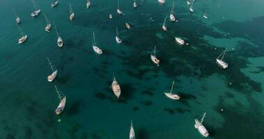 aéreo Visão a barcos ancorado perto a costa dentro Claro mar águas video