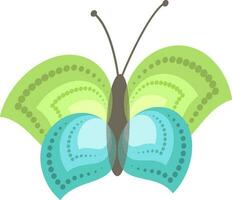 Isolated illustration of butterfly with beautiful wings. vector