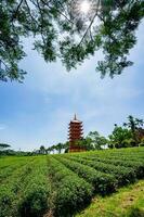 Beautiful view of Bat Nha Pagoda in Bao loc city, Vietnam photo