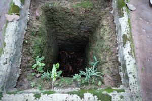 The Cu Chi tunnels. A guide demonstrating how a Vietcong hide into the Tunnel. It's used in Vietnam war. Famous tourist attraction in Vietnam. Stock photo