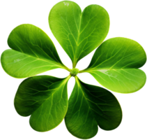 Clover png with AI generated.