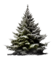 Christmas tree png with AI generated.