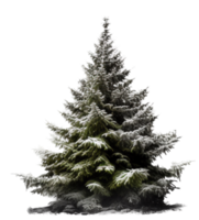 Natale albero png con ai generato.