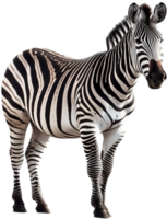 zebra png med ai genererad.