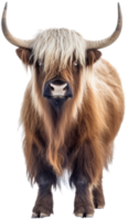 Yak png with AI generated.