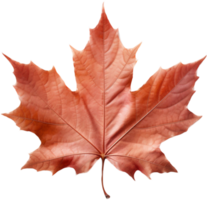 Maple leaf png with AI generated.