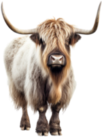 Yak png with AI generated.