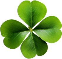 Clover png with AI generated.