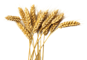 Wheat png with AI generated.