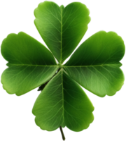Clover png with AI generated.