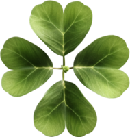 Clover png with AI generated.