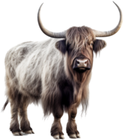 Yak png with AI generated.