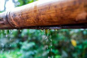 Bamboo with water stream over the water , relaxation with water ripple drops concept photo