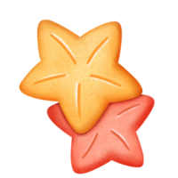 Cute starfish in biscuit shape png