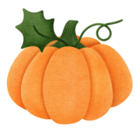 Cute orange pumpkin png