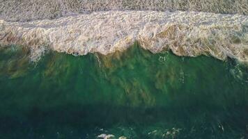 ein oben Aussicht von groß Wellen mit Meer Schaum, das Kamera zeigt an das Ufer. video