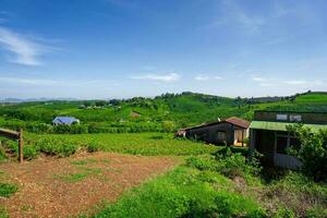 brillante azul cielo ver de un café plantación en bao ubicación, Vietnam foto