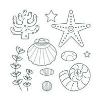 Set of seaweed, seashells, starfish, stones in flat cartoon style. vector