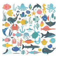 Set of algae, shells, octopus, stingray, dolphin, seahorse, swordfish, turtle, whale, crab. vector