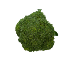 Fresh broccoli isolated. Healthy food element png