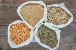 overhead view of bags with grains and pellets for sale at the forage photo