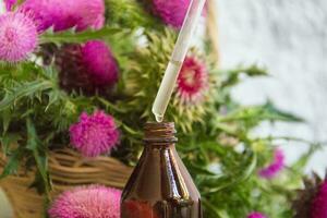 Health concept with essential oils of thistle for alternative medicinal use photo