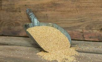 spoon with millet for bird feed for sale in the forage photo