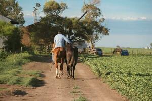 man on horseback in the argentinian countryside photo