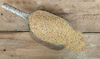 a spoon with a mixture of grains to feed canaries for sale in the forage photo
