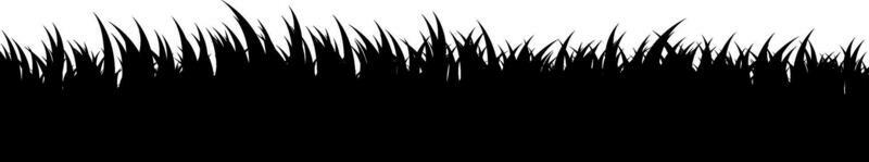 Silhouette of grass.