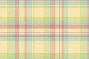 Tartan Plaid Pattern. Check Plaid. vector