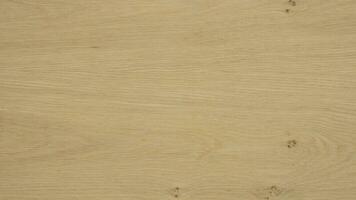 Detailed texture oak sheet or board material BC quality with knots and alburnum photo