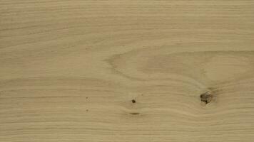 Detailed texture oak sheet or board material BC quality with knots and alburnum photo