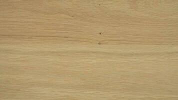 Oak detailed texture. High quality photography from Oak AB quality sheet material photo