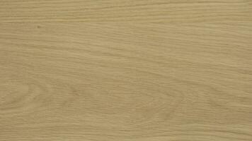 Oak detailed texture. High quality photography from Oak AB quality sheet material photo