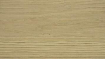 Oak detailed texture. High quality photography from Oak AB quality sheet material photo
