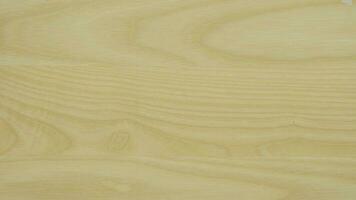 Ash sheet material detailed topview texture. A combination of rich grains, natural patterns and straight lines. Create a stunning visual appeal for your projects photo
