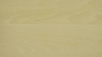 Maple sheet material detailed topview. A combination of rich grains, natural patterns and straight lines. Create a stunning visual appeal for your projects photo